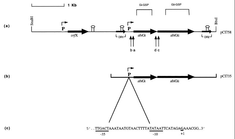 FIG. 1