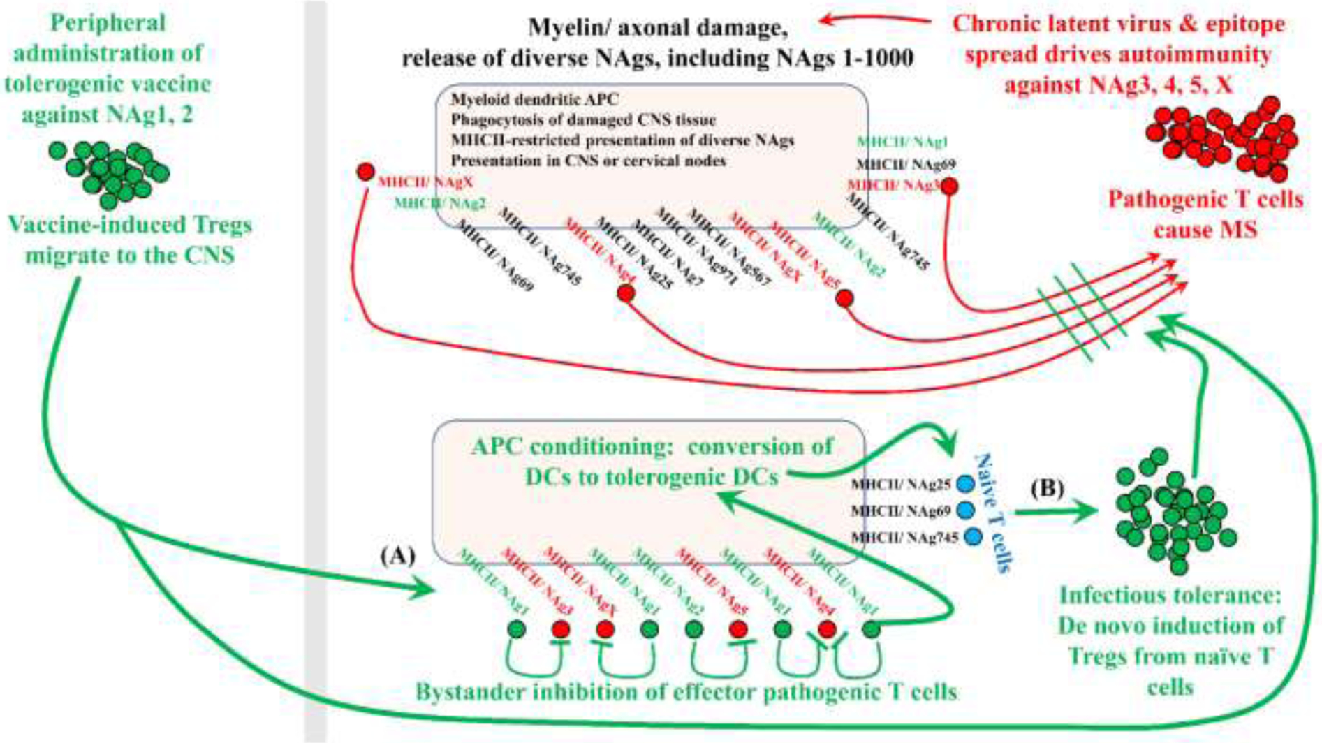 Figure 6: