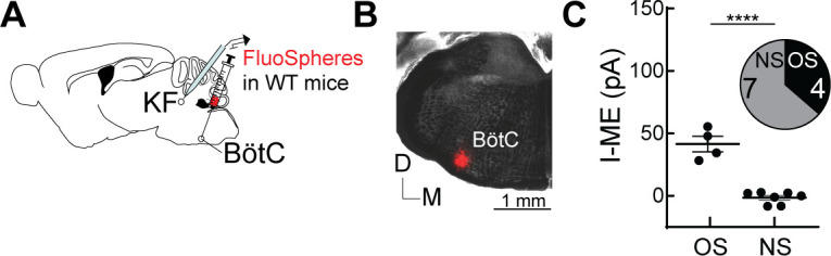 Figure 4—figure supplement 1.