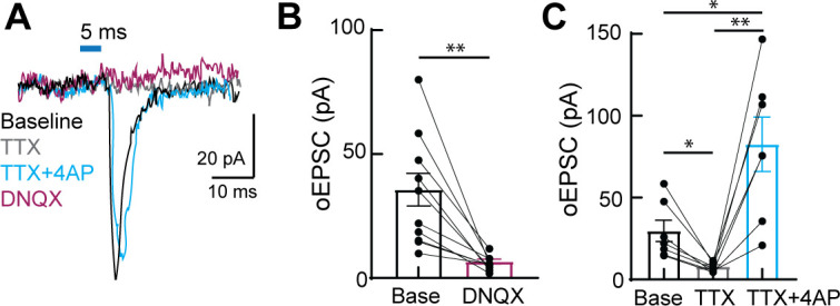 Figure 3—figure supplement 1.