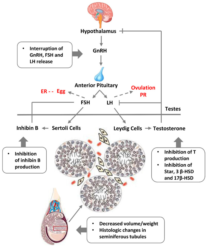 Figure 13