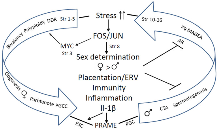 Figure 14