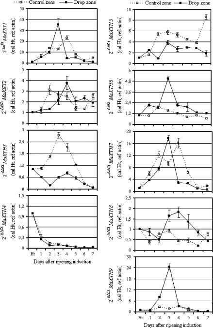 Fig. 4.