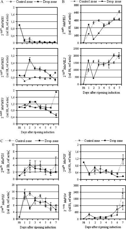 Fig. 3.