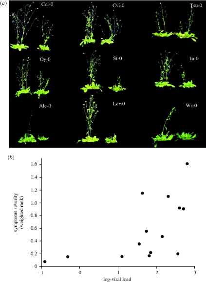 Figure 4.