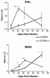 FIG. 6.