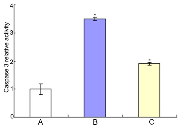 Figure 8