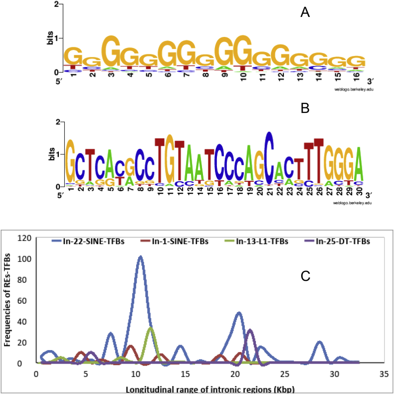 Figure 4