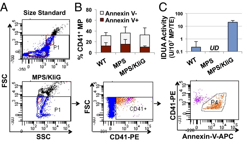 Fig. 4.