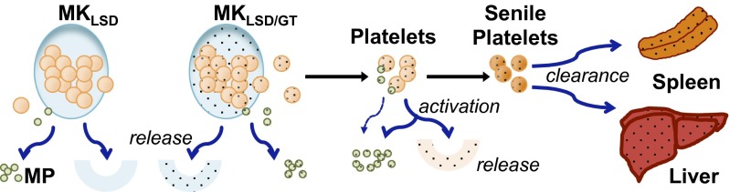 Fig. 6.