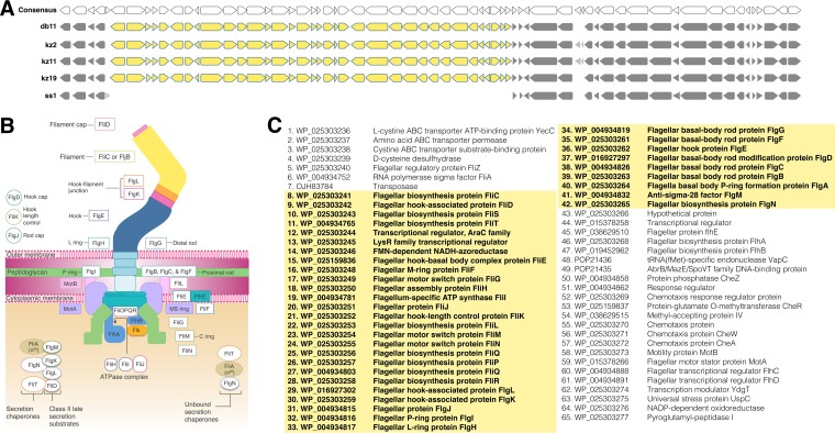 FIG 6