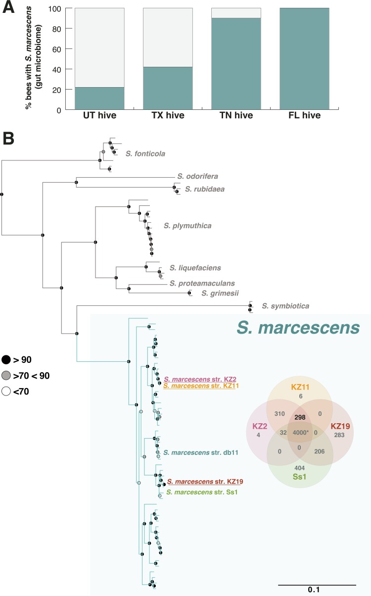 FIG 1