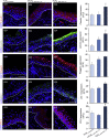 Figure 5