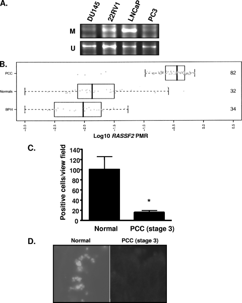 FIG. 8.