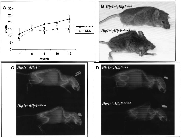 FIG. 7.