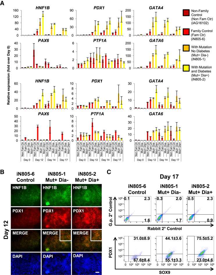 Figure 3