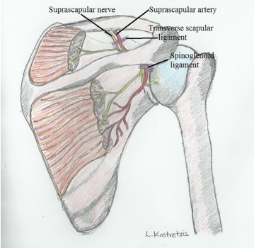 Fig. (2)