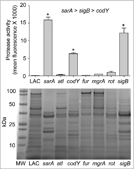 Figure 6.