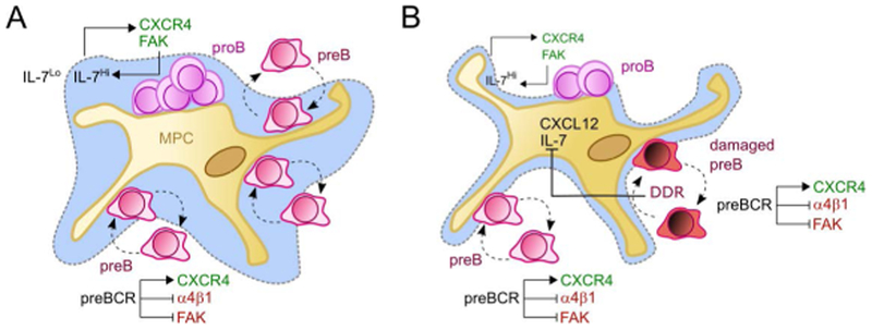 Figure 3: