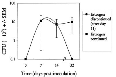 FIG. 5