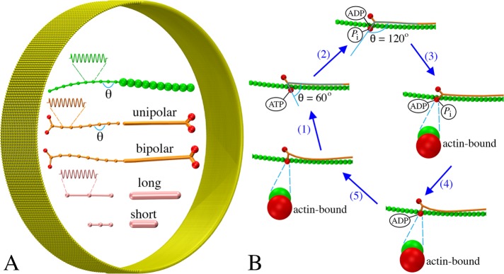 FIGURE 1: