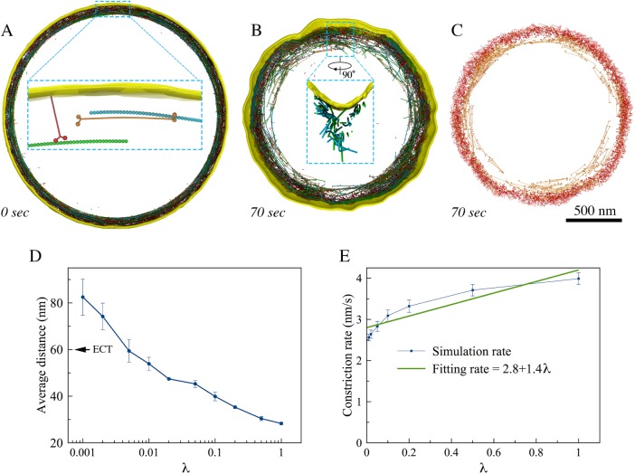 FIGURE 7: