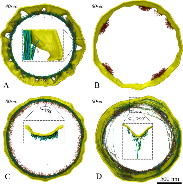 FIGURE 5: