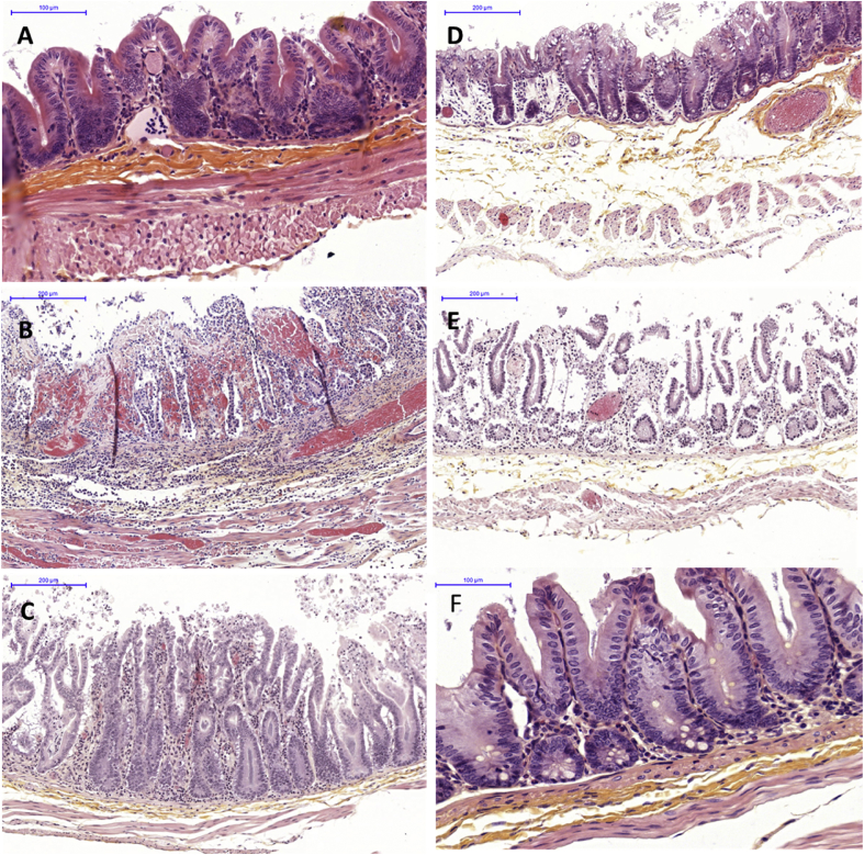 Fig. 3