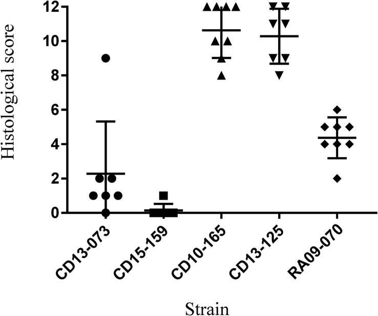 Fig. 4