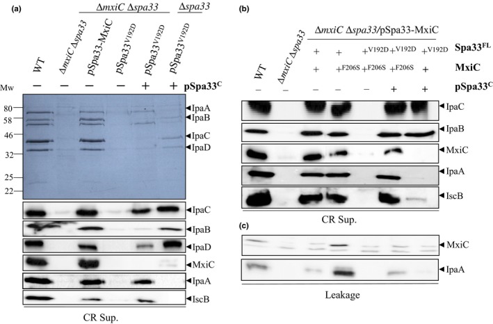 Figure 5