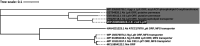 FIG 9