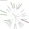 FIG 5