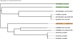 FIG 7