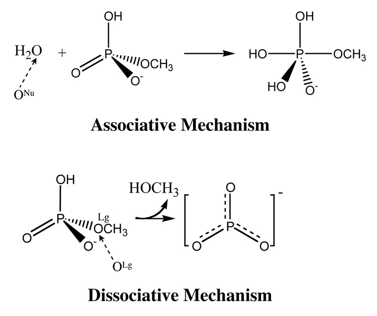 Scheme I