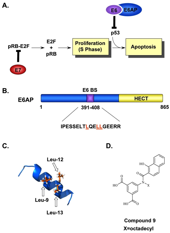 Fig. (5)