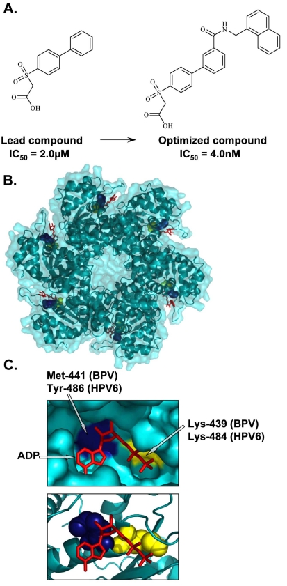 Fig. (3)