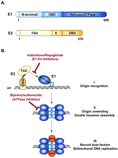 Fig. (2)