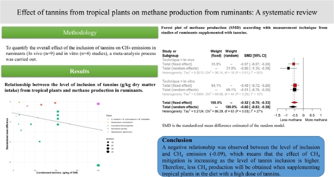 Image, graphical abstract