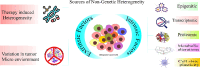 Image, graphical abstract