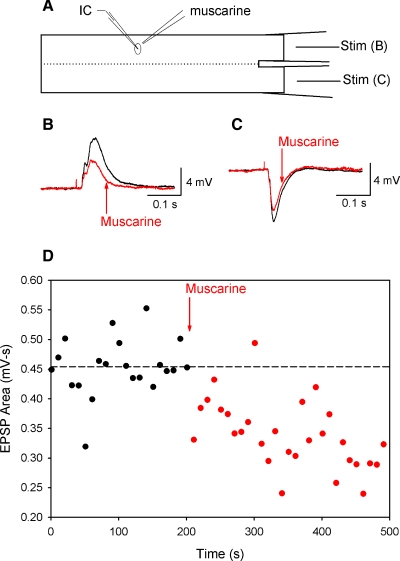 FIG. 3.