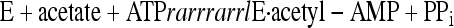 graphic file with name M1.gif