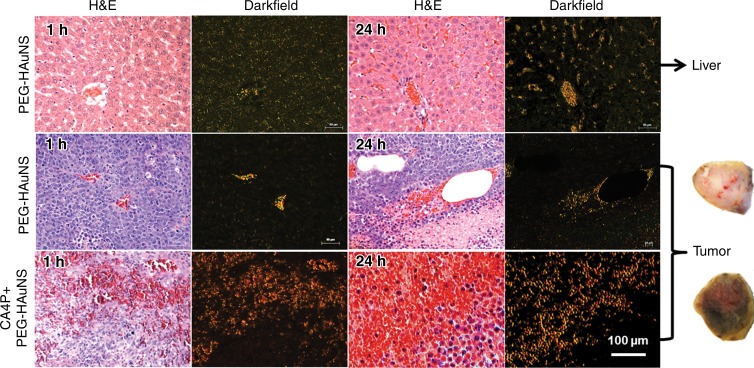 Figure 4: