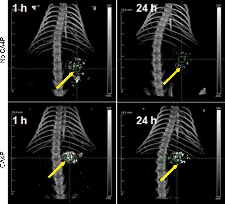 Figure 3: