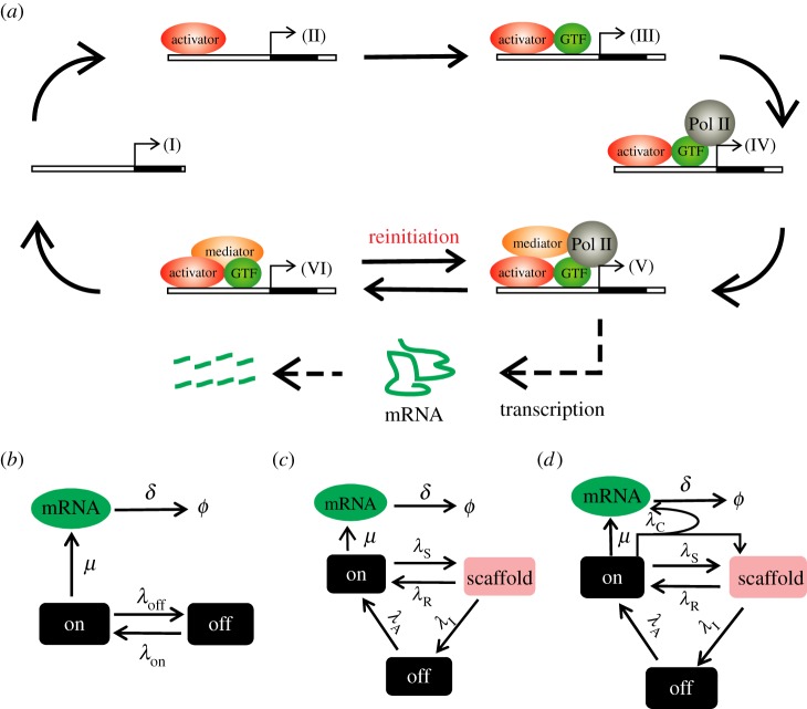 Figure 1.