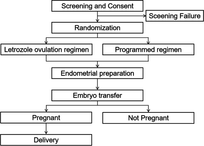 Letrozole ovulation regimen for frozen-thawed embryo transfer in women ...