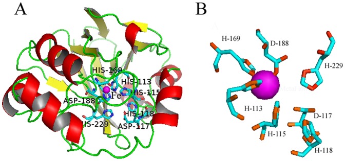 Figure 5