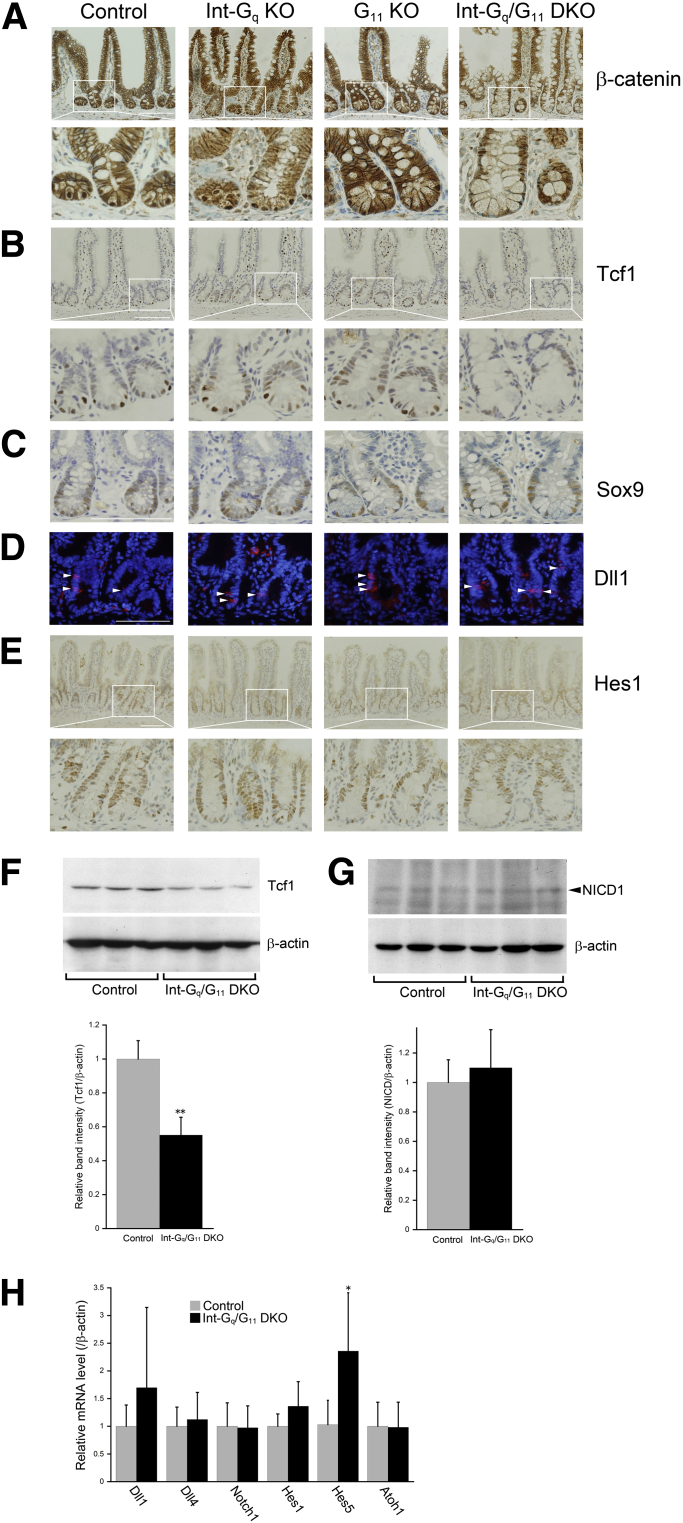 Figure 5