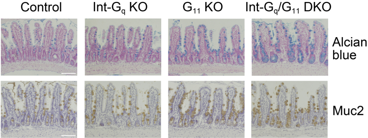 Supplementary Figure 3