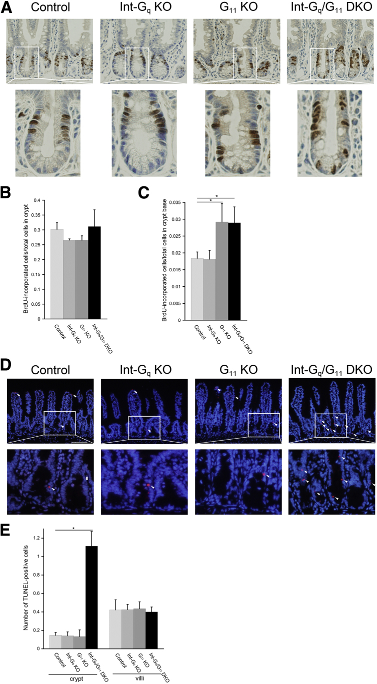 Figure 6