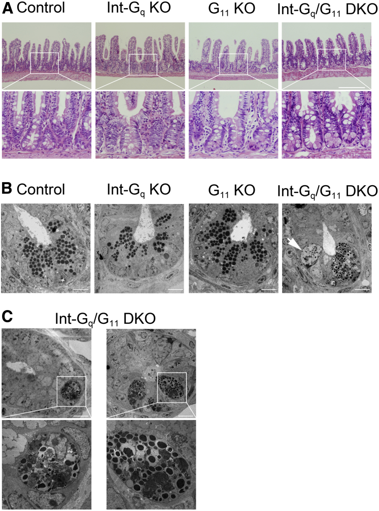 Figure 2